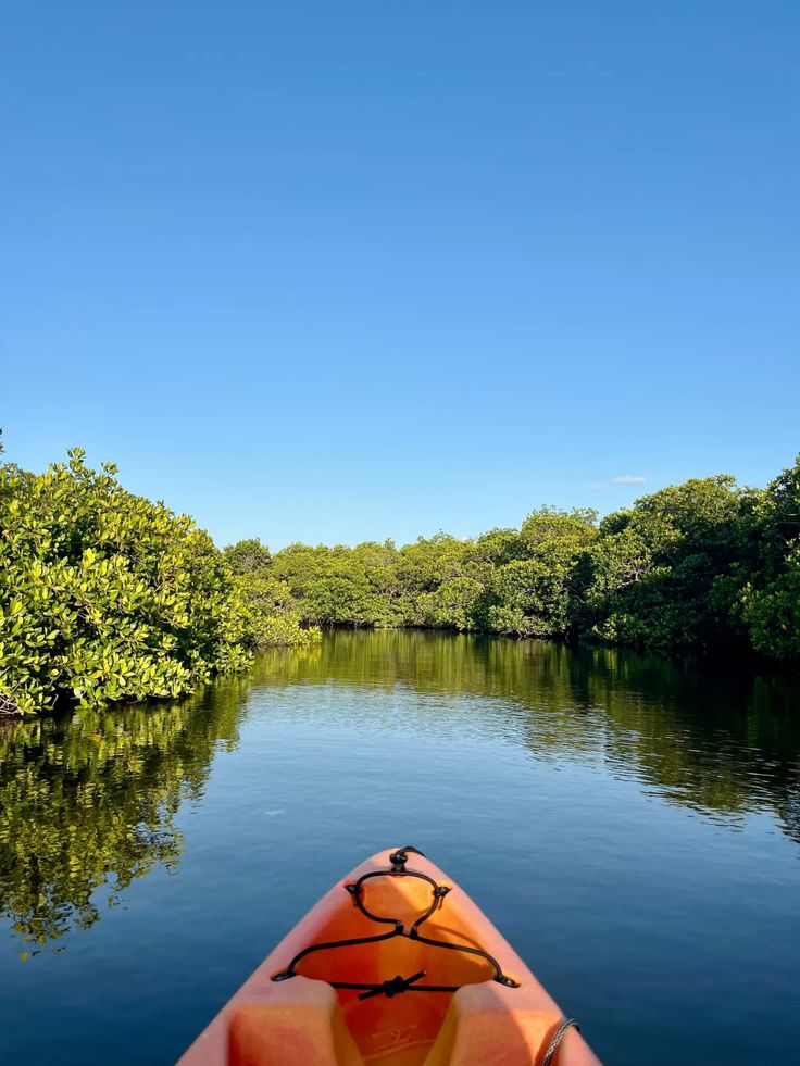 On the water