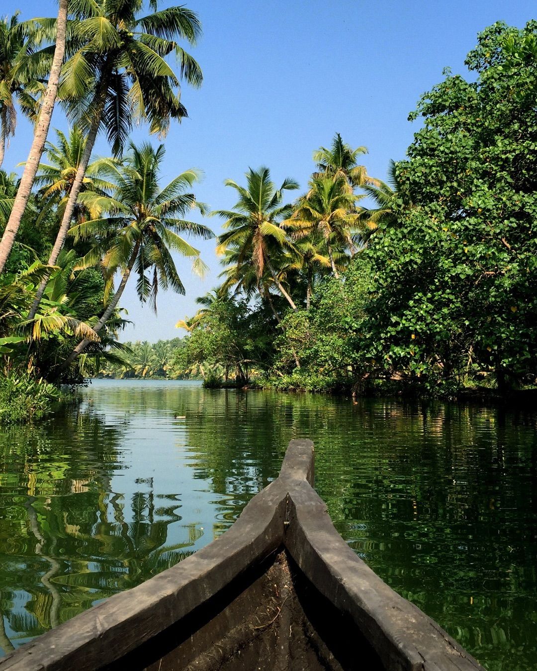 Paddling scene