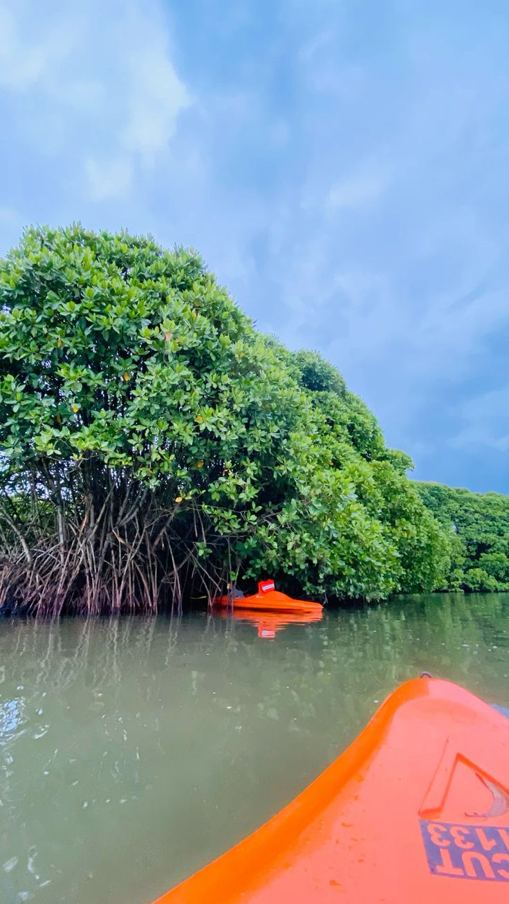 On the backwaters